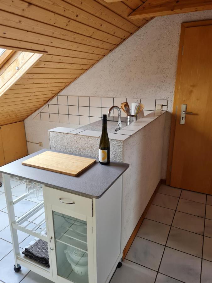 Chagall - Helles Und Gemuetliches Appartement Nahe Der Historischen Altstadt Майнц Экстерьер фото